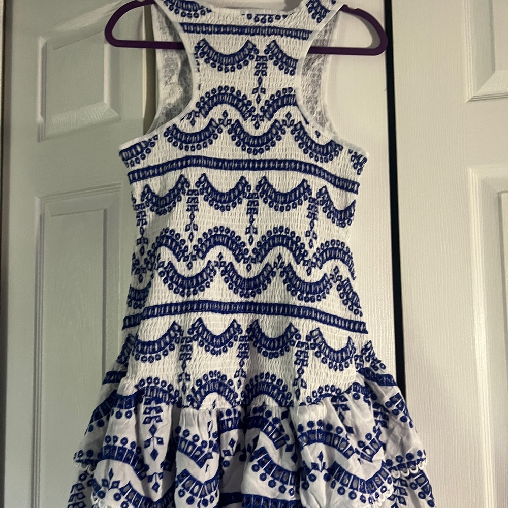 Embroidered Ruffled Sleeveless Dress - Picture 16 of 16